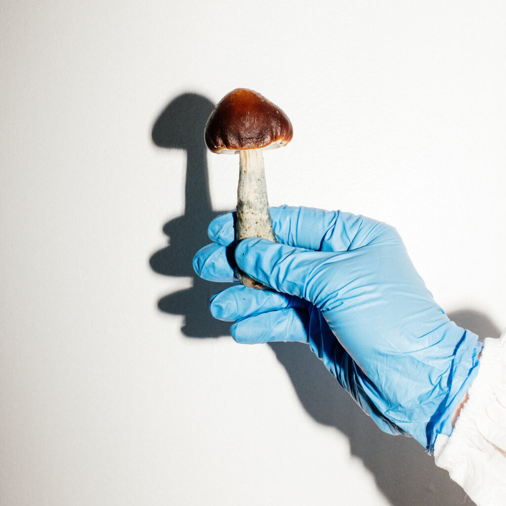 Magic Mushroom