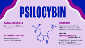 LSD vs Psilocybin